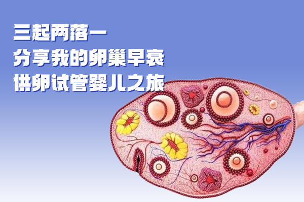 【三起两落】分享我的卵巢早衰供卵试管之旅