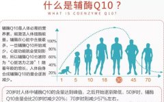 胚胎移植前辅酶Q10补充剂使用安全问题和方法