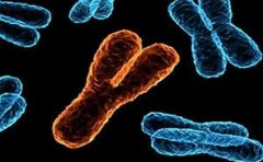 azfc缺失做试管如何选择试管方案，试管怀孕不是梦