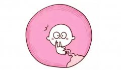 试管促排针对孩子寿命的影响，遗传性问题决定