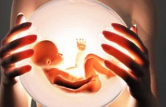 收藏！夫妻这样准备能提高试管的成功率