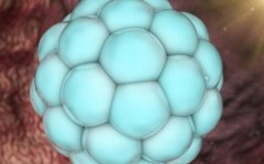 为什么高龄试管提高卵子质量是关键？