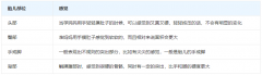 教你几招：分娩前怎么判断胎儿在什么位置