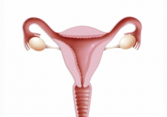 女性卵巢早衰能不能做试管,能不能调理