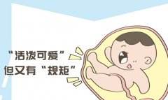 试管能决定孩子的智商吗？由什么决定的？