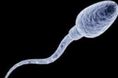 怎么才能申请供精人工授精？需要注意什么事项？