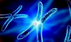 马来西亚联合生育医院试管成功率高吗？