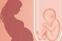 一文了解影响试管成功率的因素