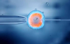 卵泡小百科，一网打尽！提前get，安心又自在！