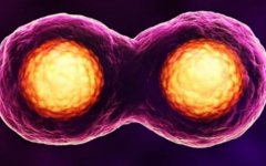 去柬埔寨做试管费用高吗？靠谱吗？