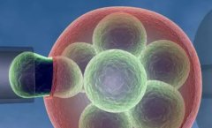 一文了解43岁借卵试管如何调理提高成功率？