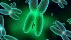 染色体变异可以做试管吗？对婴儿有影响吗？