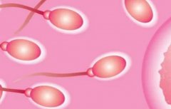 一文带你了解马来西亚试管怎么做最省钱