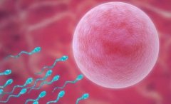 俄罗斯供卵试管之所以这么厉害，原来有“奥秘”，内有最新收费标准