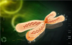 揭秘“生命密码”：8号染色体，掌控着哪些秘密？当“8”遭遇异常，身