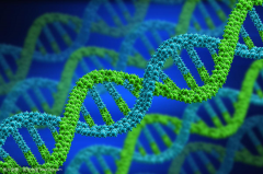 探秘身体密码：五号染色体如何影响我们的健康？