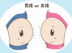 注意！俄罗斯试管可选胚胎性别