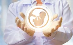 3分钟了解试管进周前注意事项（完整版）