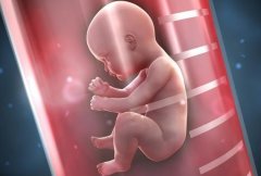 柬埔寨试管要什么证件？注意事项是什么？