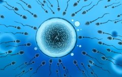 什么?试管费用太贵?竟是我们无知!