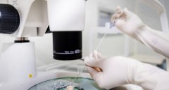 想要生双胞胎，试管过来助攻，还等什么?