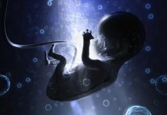 湘潭市中心医院试管资料已整理，赶紧看看