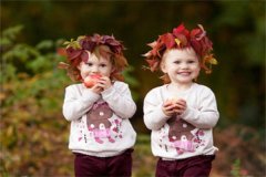 6c细胞移植成功率攻略：一篇文章带您深度探究