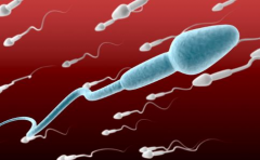 精液里的“红色警报”是否真为血精？它对男人的“播种”能力有何影