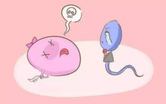 免疫性不孕也能“逆袭”？第三代试管技术来助力！