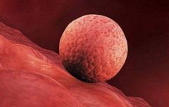 经验分享！一文了解41岁供卵试管需要满足什么条件