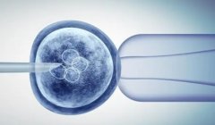 输卵管不通也可以直接试管，一文了解输卵管堵塞做试管的方法