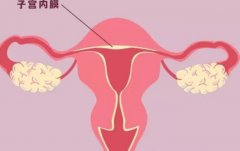 内膜厚卵泡不长的五大原因汇总，子宫内膜的正常厚度是多少？