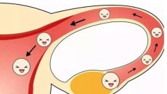 卵泡提前破裂的异常情况有哪些？生气会导致卵泡提前破裂吗？