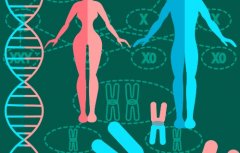 吴忠盐池县做试管吗?医院都有哪些?