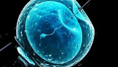 取卵的步骤是什么?我们应该注意什么?