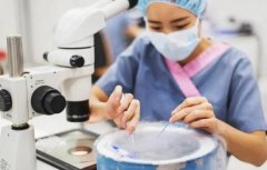 试管前要做哪些检查?都是必要的吗?