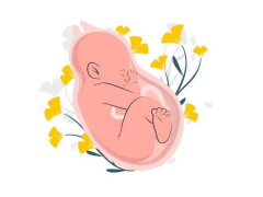 早产小勇士的未来之路：长大后会有“隐藏关卡”吗？