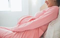 守护宝宝的前三个月，妊娠之旅有哪些小秘密？