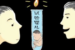 试管时间流程是怎么的?
