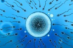 第二次试管要具备什么?