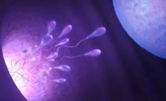 试管受季节的影响吗?