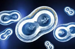 试管之旅：经济账单大揭秘，提前做好荷包规划！