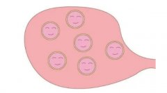 贺美琦是什么？对辅助生殖有什么好处？