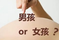 生男生女计算器是什么？性别检查准确率高吗？