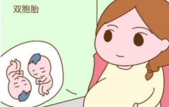 什么因素可以影响双胞胎出生的几率？