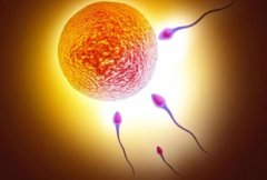 申请精子库中精子的必要条件