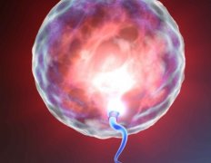 一般受精卵能冻多久？