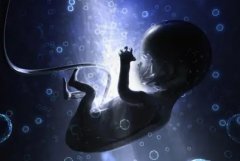 les三代试管流程