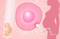 柬埔寨单身试管时间安排表