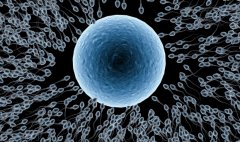 肺结核能不能做试管?